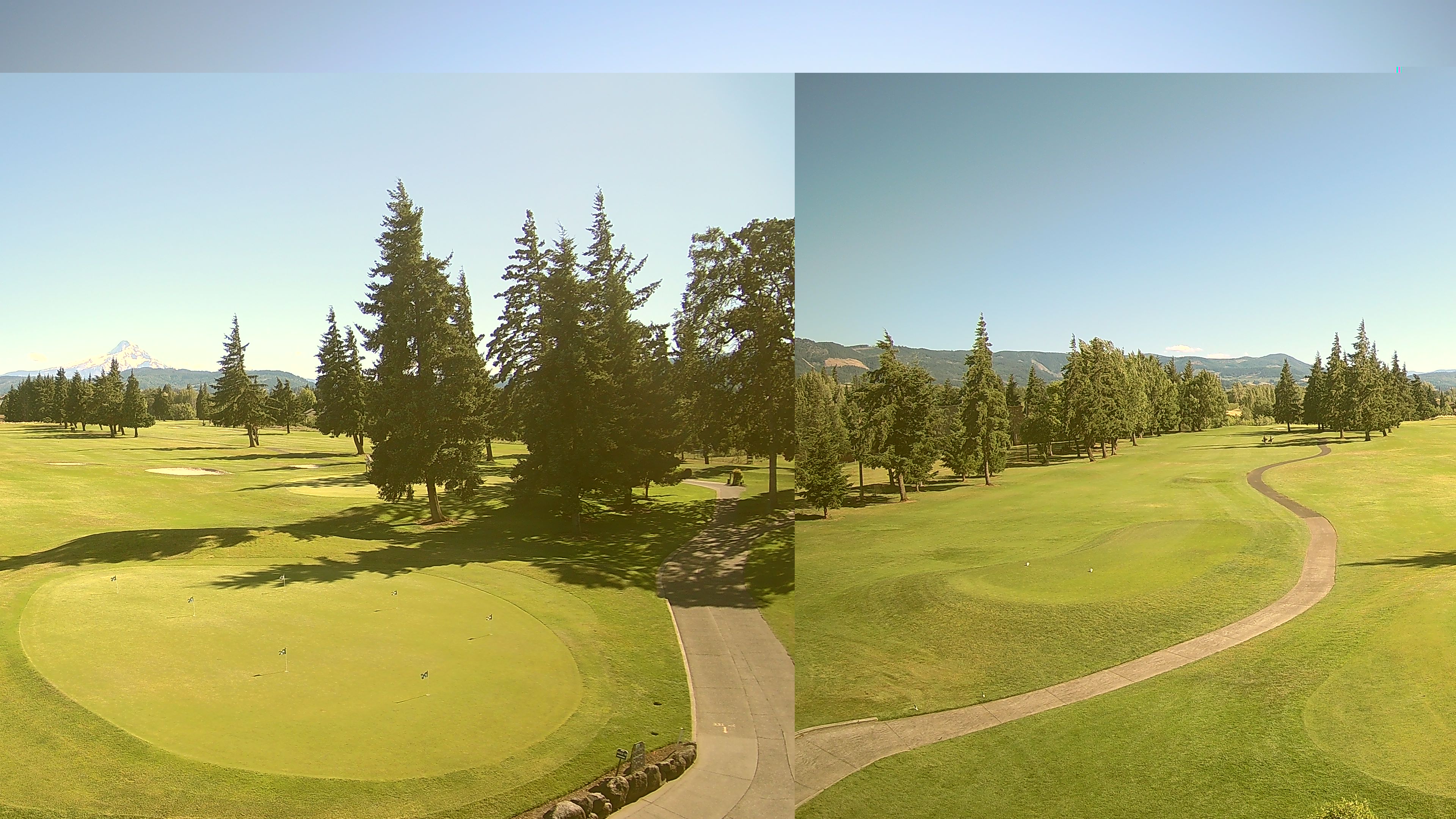 ICgolf