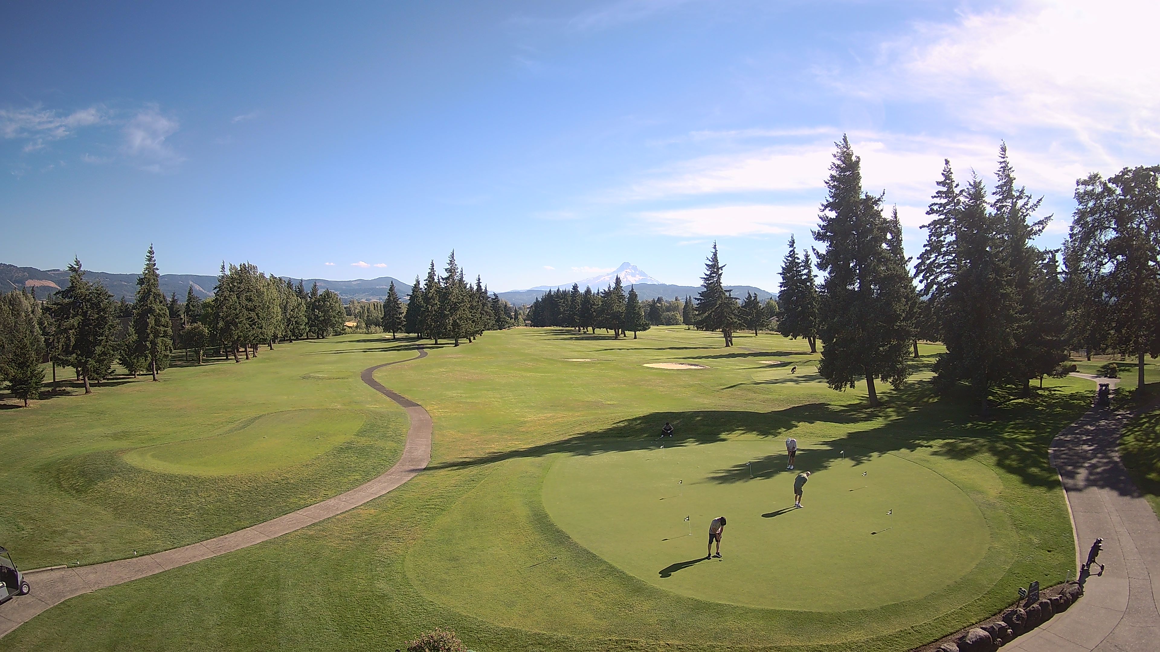 ICgolf